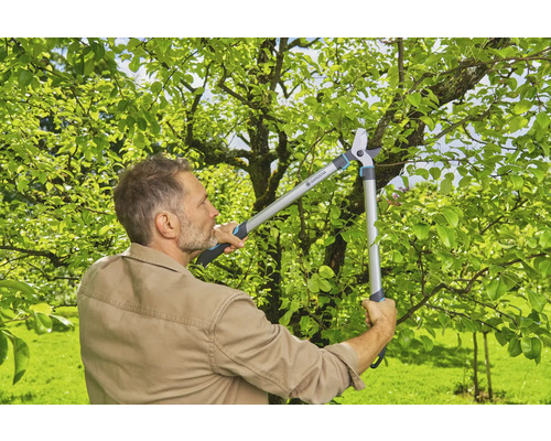 Ein Mann benutzt eine Astschere im Garten, um Äste zu schneiden.