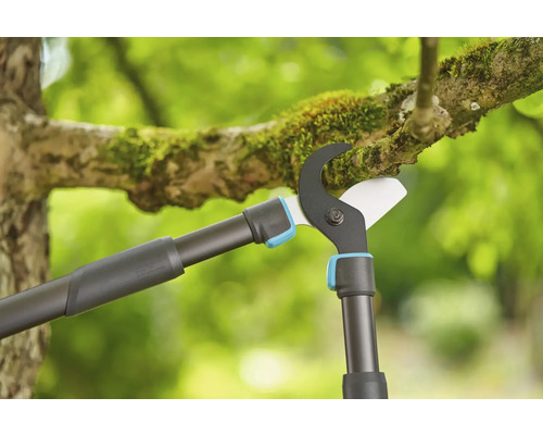 Astschere in Benutzung an einem Baumast