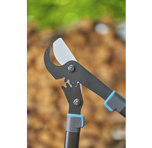 Sécateur pour la taille des arbres