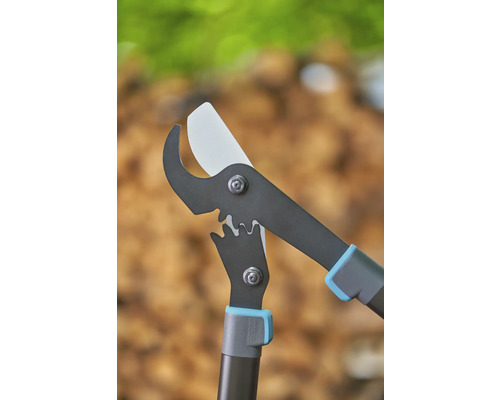 Sécateur pour la taille des arbres