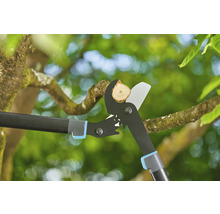 Élagueur coupant une branche dans un arbre.