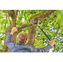 Une personne utilise un ébrancheur à crémaillère pour tailler un arbre.