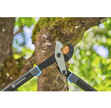 Sécateur à branches Gardena coupant une branche