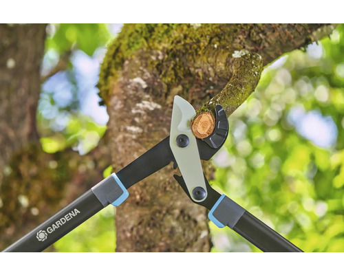 Sécateur à branches Gardena coupant une branche