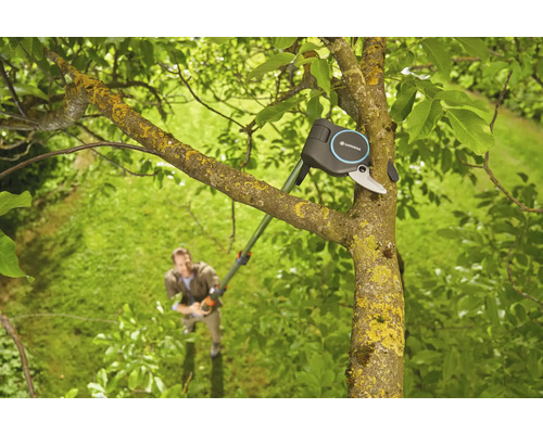 Eine Gardena Astschere im Einsatz an einem Baum, während eine Person im Hintergrund steht.
