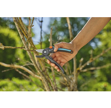 Sécateur en cours d''utilisation pour tailler une branche