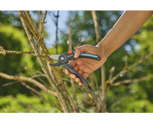 Sécateur en cours d''utilisation pour tailler une branche