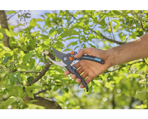 Sécateur en utilisation sur un arbre