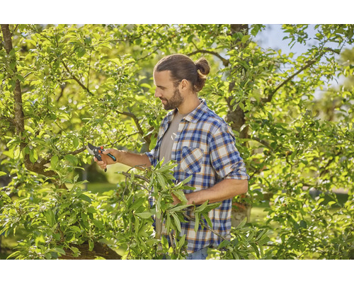 Un homme coupe un arbre avec un sécateur