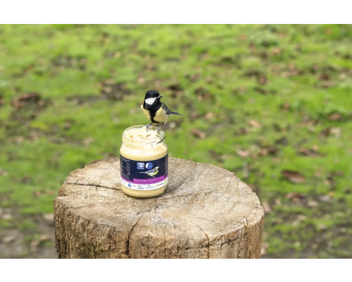 Beurre de cacahuète pour oiseaux en pot avec une mésange bleue sur une souche d''arbre