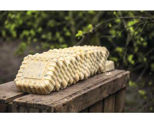 Rangée de blocs carrés de nourriture pour oiseaux sur une surface en bois