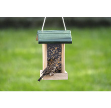 Vogelhaus mit Futter und einem Spatz.