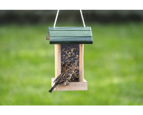Mangeoire à oiseaux avec de la nourriture et un moineau.