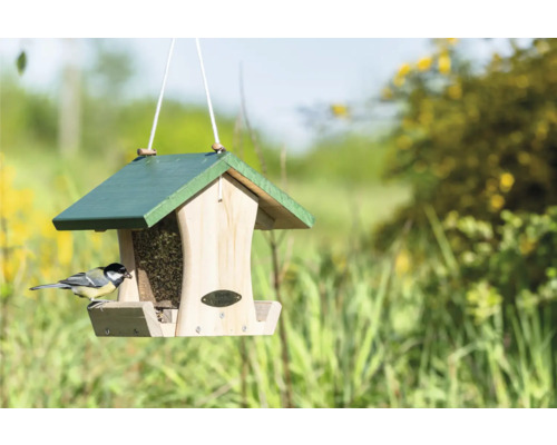 Mangeoire à oiseaux avec nourriture pour oiseaux et oiseau dans le jardin