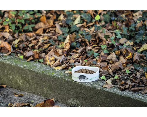 Bol pour hérissons avec nourriture