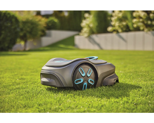 Mähroboter auf Rasenfläche