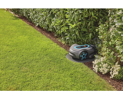 Rasenroboter auf einer Rasenfläche neben einer Hecke