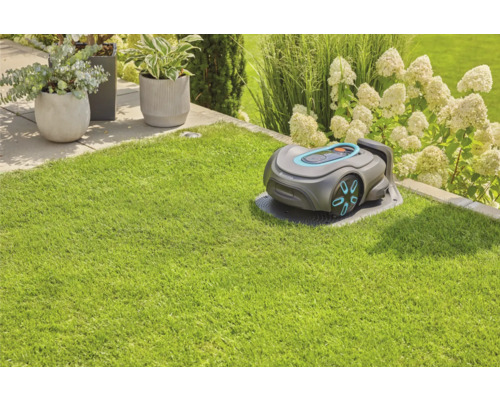 Rasenroboter auf Rasenfläche mit Pflanzen im Hintergrund