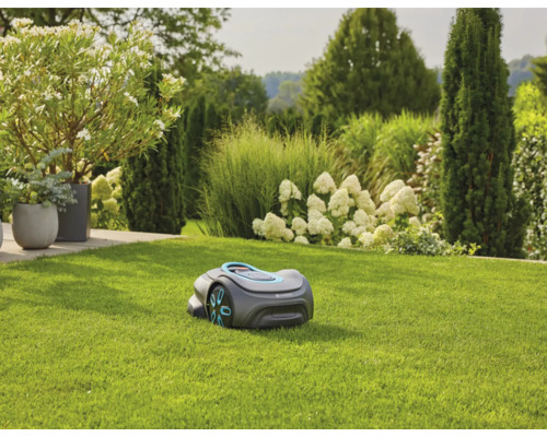 Robot tondeuse à gazon sur pelouse devant paysage de jardin