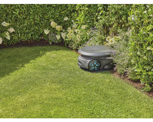 Robot tondeuse à gazon sur une pelouse à côté de buissons et de fleurs