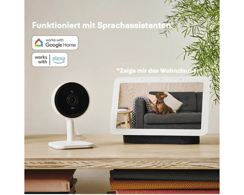 Sicherheitskamera und Smart Display mit Sprachassistent Integration