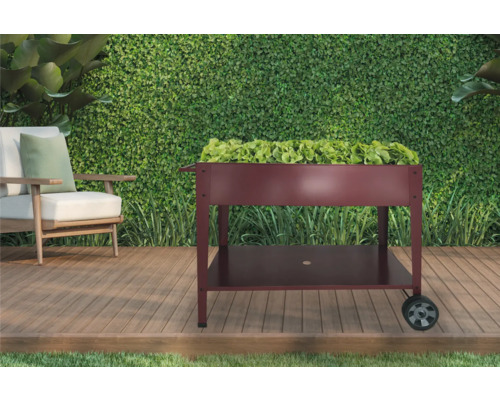 Jardinière surélevée à roulettes avec étagère dans le jardin
