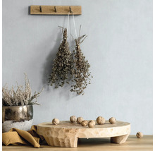 Scène décorative avec tabouret en bois, herbes et noix.