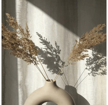 Fleurs séchées décoratives dans un vase en céramique