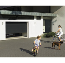 Scène avec maison, porte de garage, porte d''entrée, enfants qui jouent et un chien.