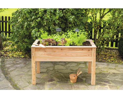 Jardinière surélevée en bois avec salade et herbes aromatiques dans le jardin