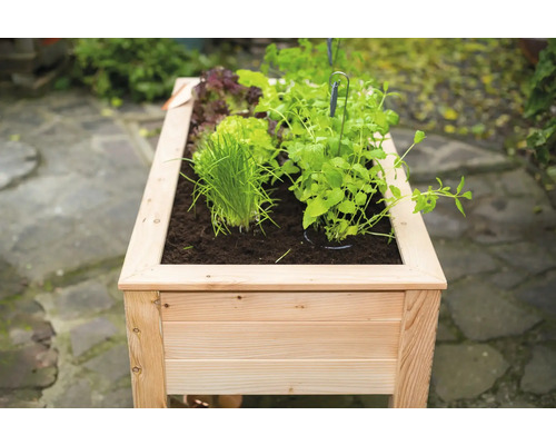 Jardinière surélevée en bois avec diverses herbes et salades