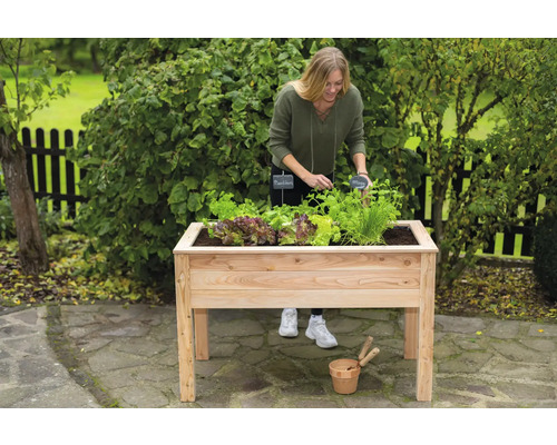Femme jardinant dans un potager surélevé en bois dans le jardin.