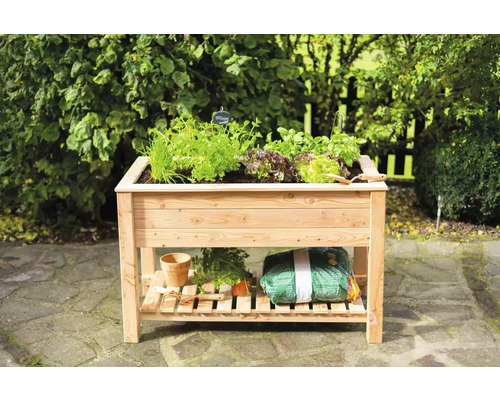 Jardinière surélevée en bois avec herbes aromatiques et accessoires de jardinage