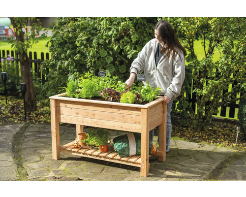 Femme jardine dans un potager surélevé en bois avec des herbes et de la salade dans le jardin