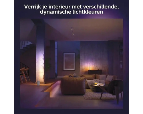 Stimmungsvolles Wohnzimmer mit moderner Stehlampe, Sitzmöbeln und dynamischer Beleuchtung.