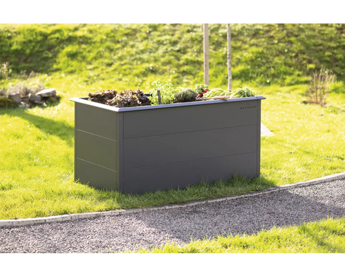 Jardinière surélevée classique WESTMANN Primus Taille L 150 x 75 x 77 cm anthracite