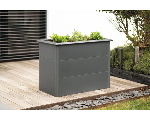 Jardinière surélevée classique WESTMANN Primus Taille M 100 x 50 x 77 cm anthracite