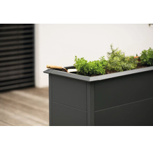 Hochbeet mit Pflanzen und Schaufel