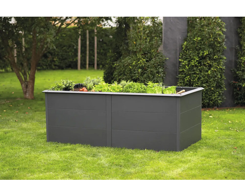 Jardinière surélevée classique WESTMANN Primus Taille XL 200 x 100 x 77 cm anthracite