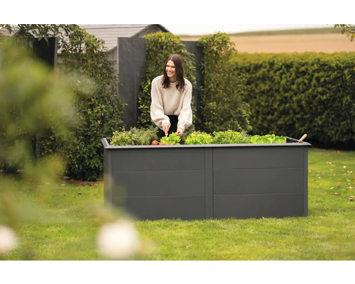 Eine Frau erntet Salat in einem Hochbeet im Garten.