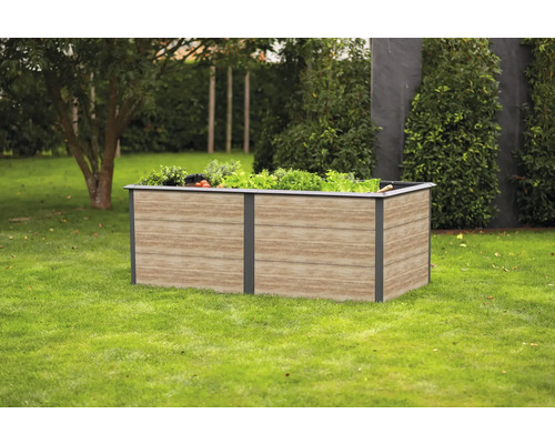 Jardinière surélevée classique WESTMANN Primus-Multi avec protection contre les escargots Taille XL 200 x 100 x 77 cm aspect bois