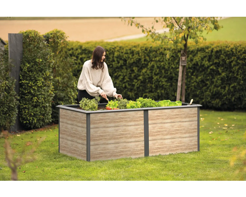 Une femme plante des légumes dans un potager surélevé dans le jardin.