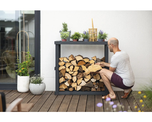 Holzregal gefüllt mit Brennholz, dekoriert mit verschiedenen Pflanzen im Aussenbereich