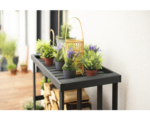 Dekorativer Holztisch mit Pflanzen und Brennholz für den Aussenbereich