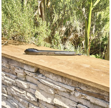 Pince à barbecue en acier inoxydable sur mur