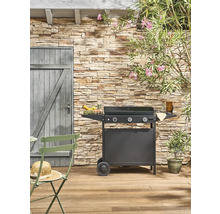 Espace extérieur avec barbecue, mobilier de jardin et mur en pierre