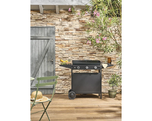Espace extérieur avec barbecue, mobilier de jardin et mur en pierre