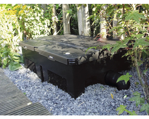 Système de filtration de bassin de jardin dans un jardin avec de la végétation