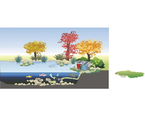 Illustration d''un système de filtration de bassin dans un bassin de jardin avec poissons et plantes.
