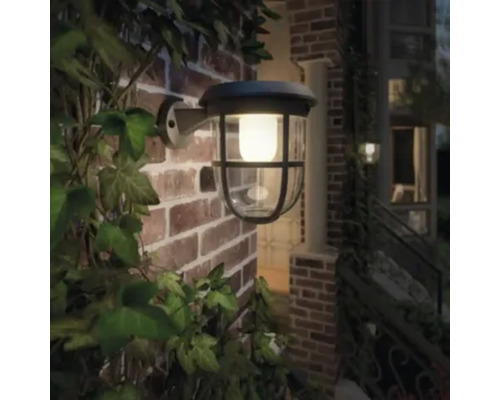 Beleuchtete Aussenwandleuchte am Backsteingebäude mit Pflanzen